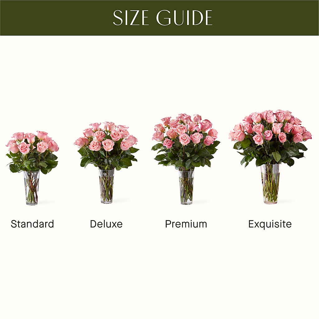 Long Stem Pink Rose Bouquet –  Roots Of Love, Spotswood NJ