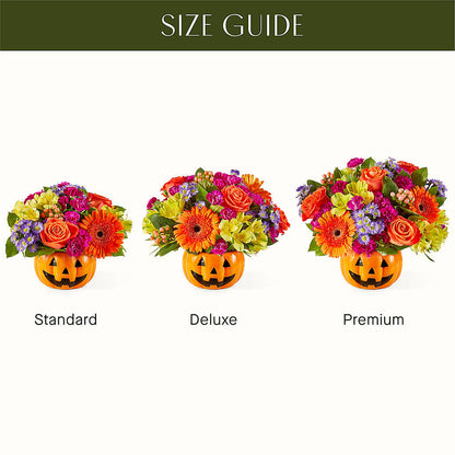 Tricks & Treats Pumpkin –  Roots Of Love, Spotswood NJ
