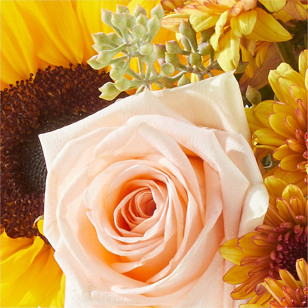 Pumpkin to Talk About Bouquet –  Roots Of Love, Spotswood NJ