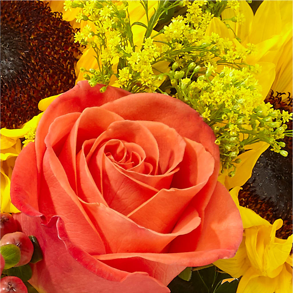 Pick of the Patch Pumpkin Bouquet –  Roots Of Love, Spotswood NJ