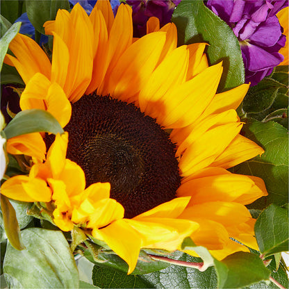 Catching Rays Bouquet –  Roots Of Love, Spotswood NJ