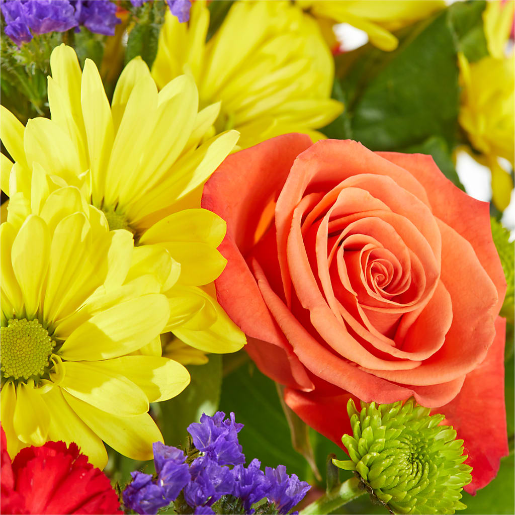 Brighter Days Bouquet –  Roots Of Love, Spotswood NJ