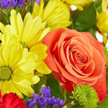 Brighter Days Bouquet –  Roots Of Love, Spotswood NJ