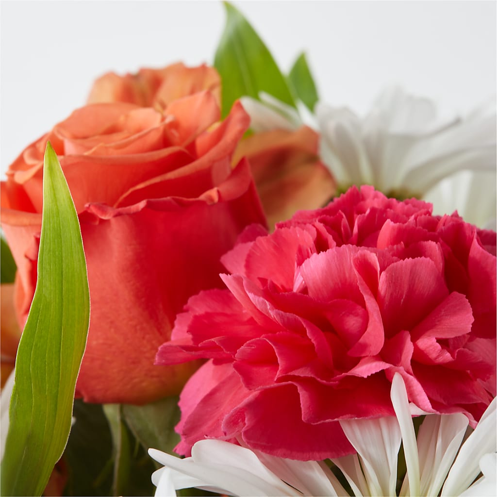 Oopsie Daisy Bouquet –  Roots Of Love, Spotswood NJ