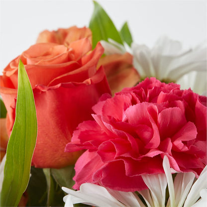 Oopsie Daisy Bouquet –  Roots Of Love, Spotswood NJ