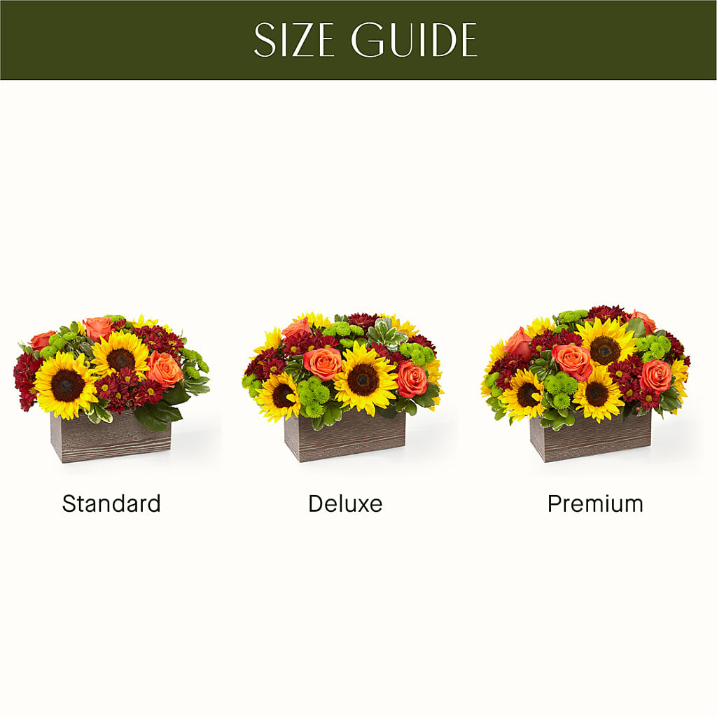 Happy Harvest Garden –  Roots Of Love, Spotswood NJ