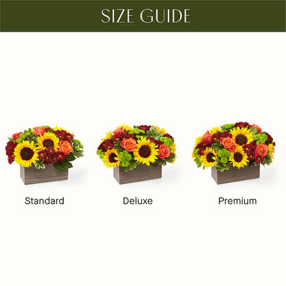 Happy Harvest Garden –  Roots Of Love, Spotswood NJ