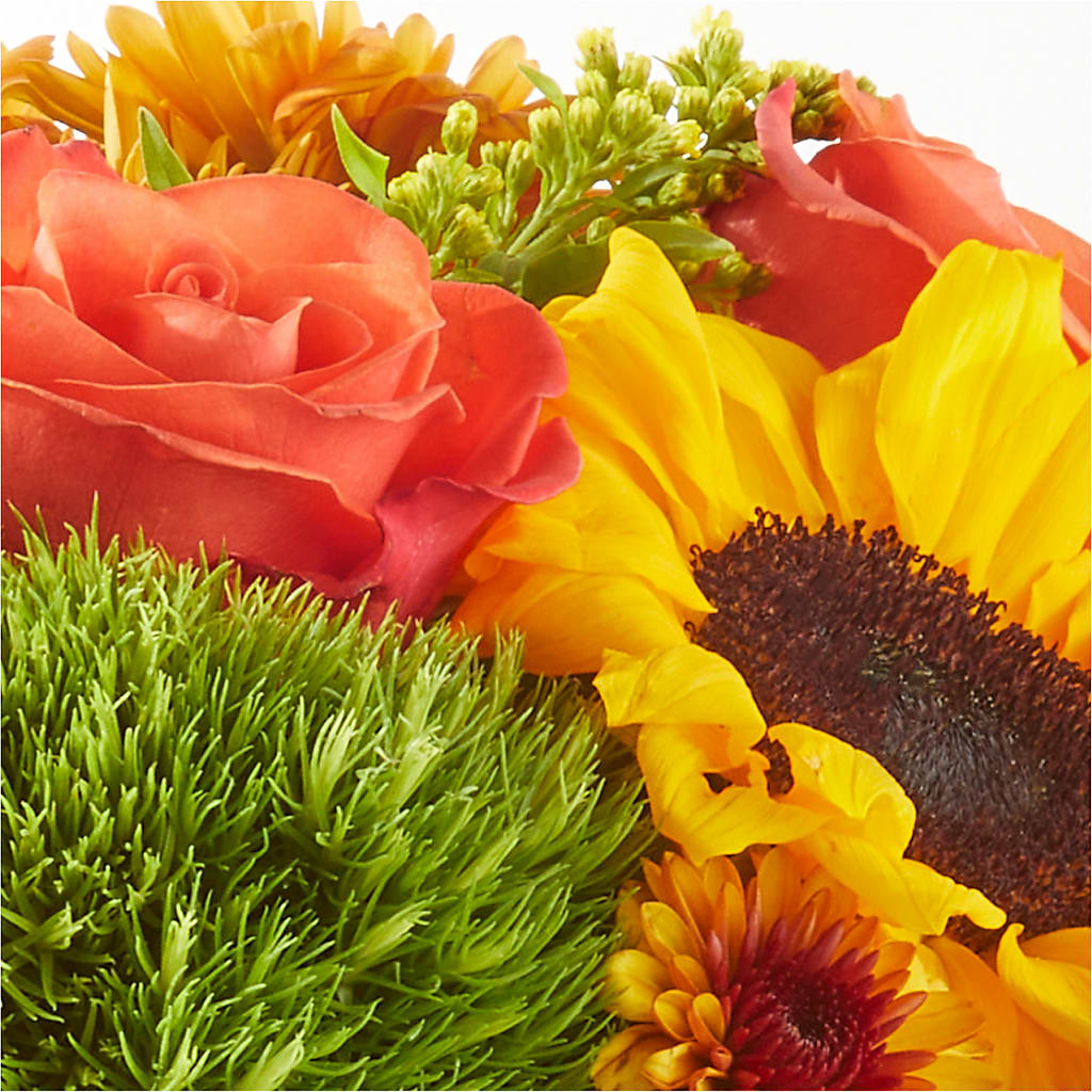 Farmer’s Market Stroll Bouquet –  Roots Of Love, Spotswood NJ