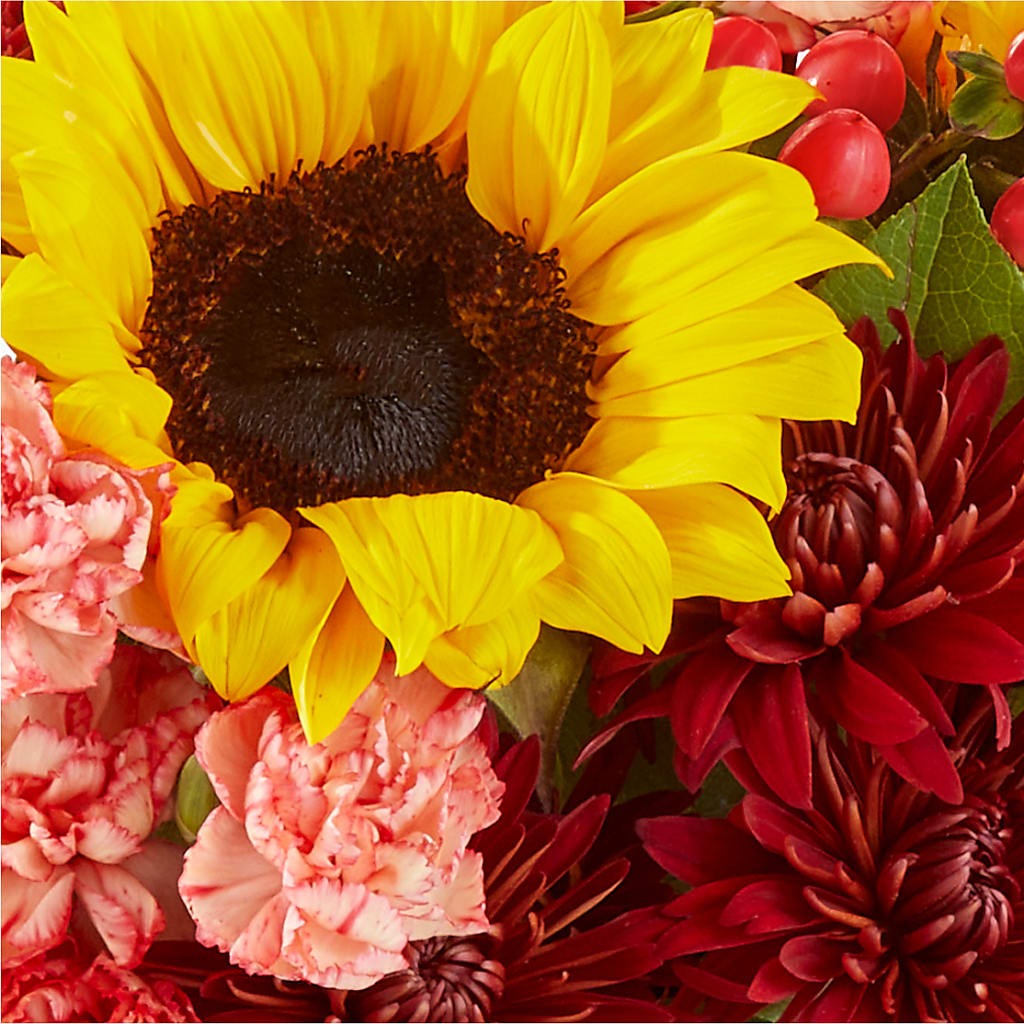 Fresh Cider Bouquet –  Roots Of Love, Spotswood NJ