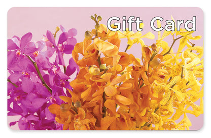 Gift Card –  Roots Of Love, Spotswood NJ