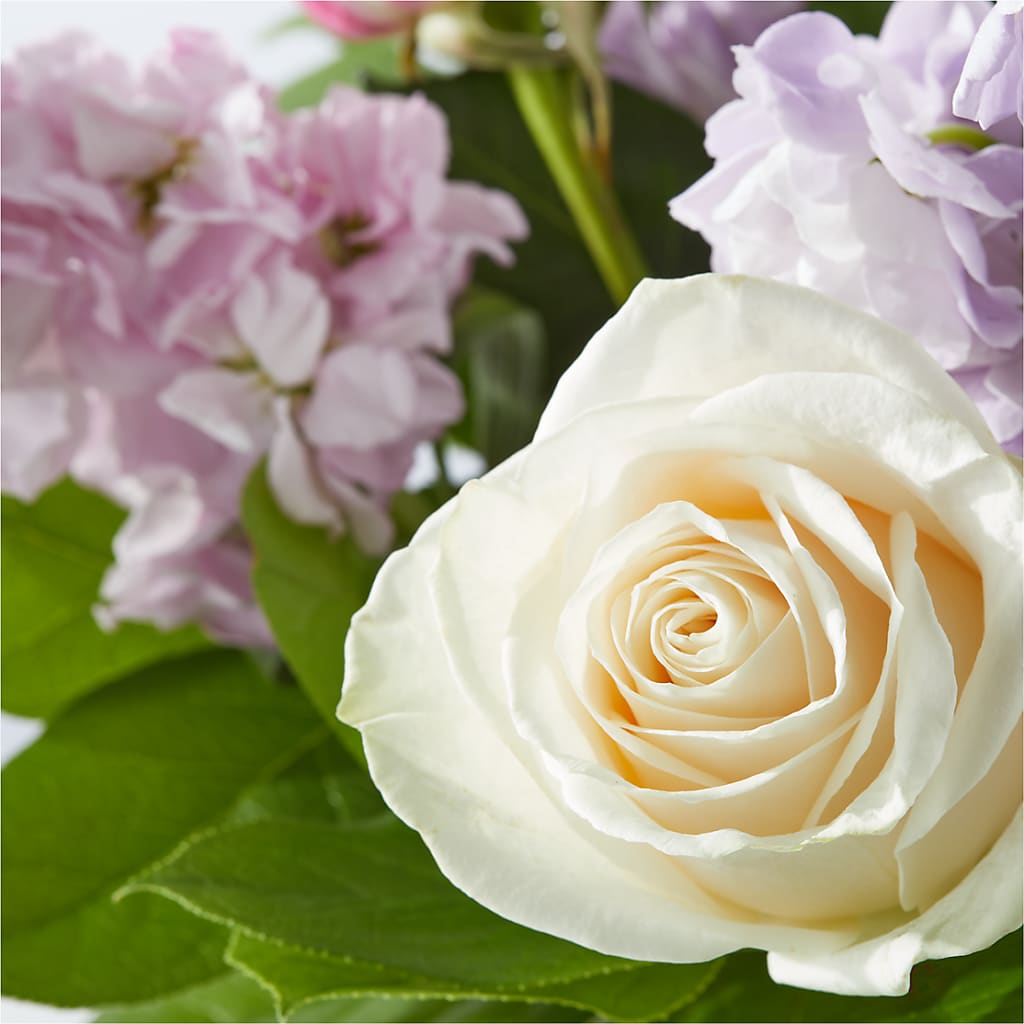Springtime Spritz Bouquet –  Roots Of Love, Spotswood NJ