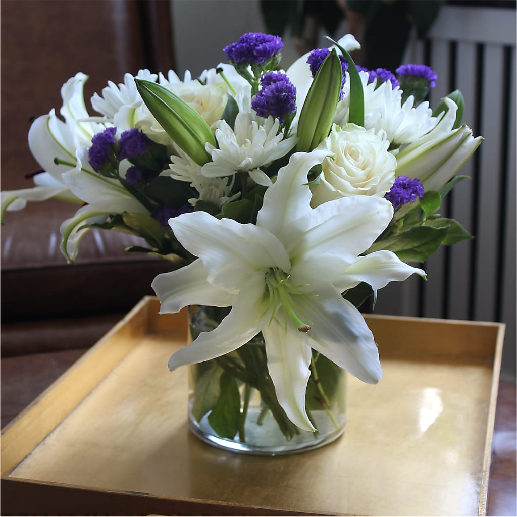 Beyond Blue Bouquet –  Roots Of Love, Spotswood NJ