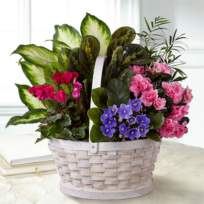 Peaceful Garden Planter –  Roots Of Love, Spotswood NJ