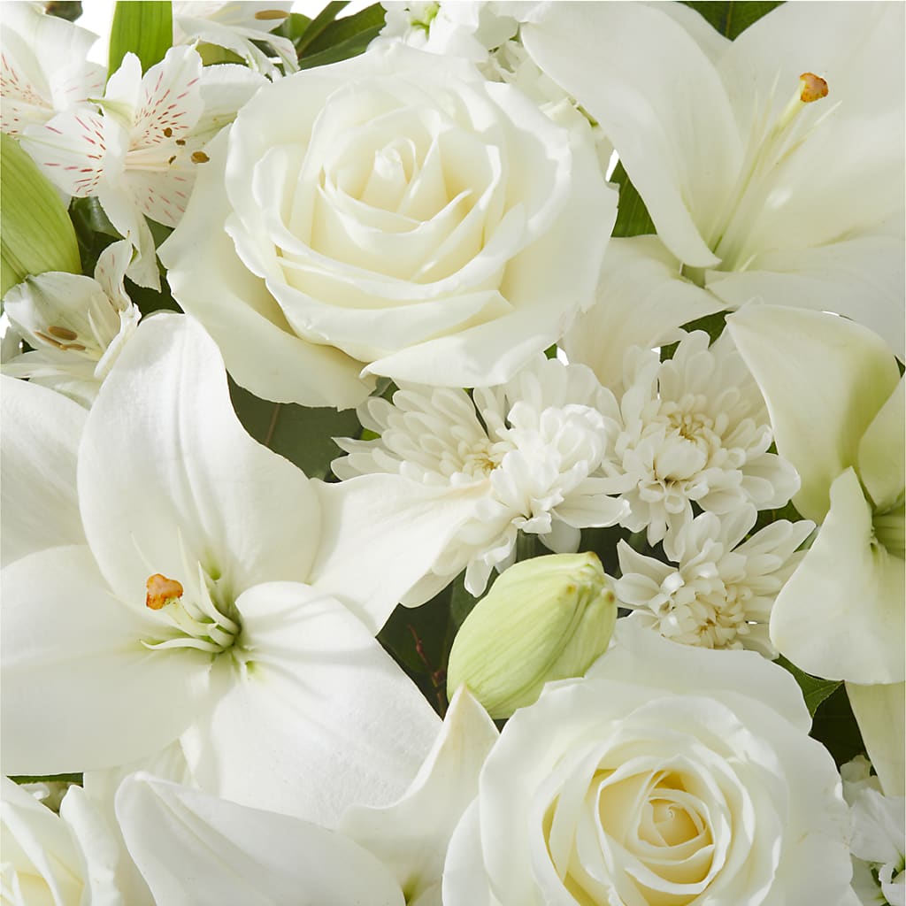Peaceful Reflections Arrangement –  Roots Of Love, Spotswood NJ