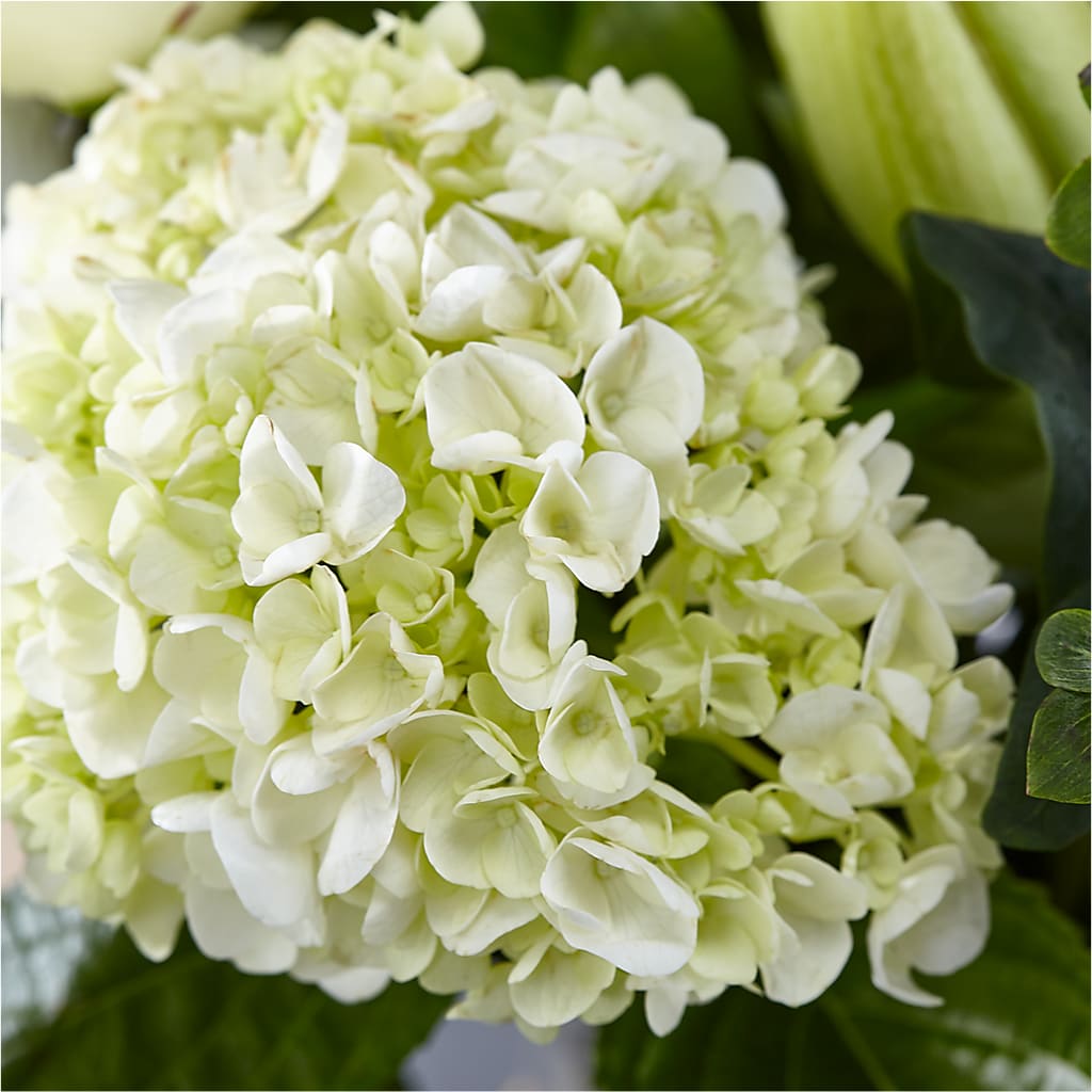 Classic Ivory – A Florist Original –  Roots Of Love, Spotswood NJ