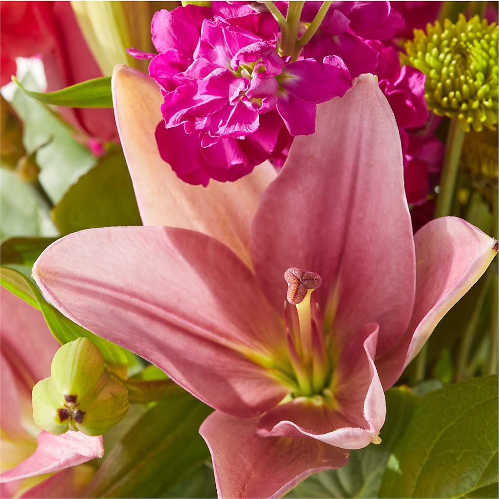 Watermelon Crush Bouquet –  Roots Of Love, Spotswood NJ