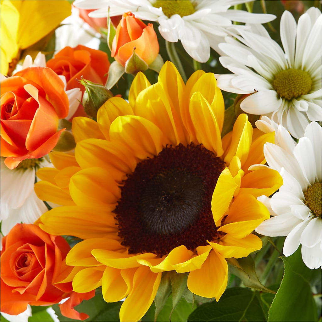 Sun-drenched Blooms Bouquet –  Roots Of Love, Spotswood NJ
