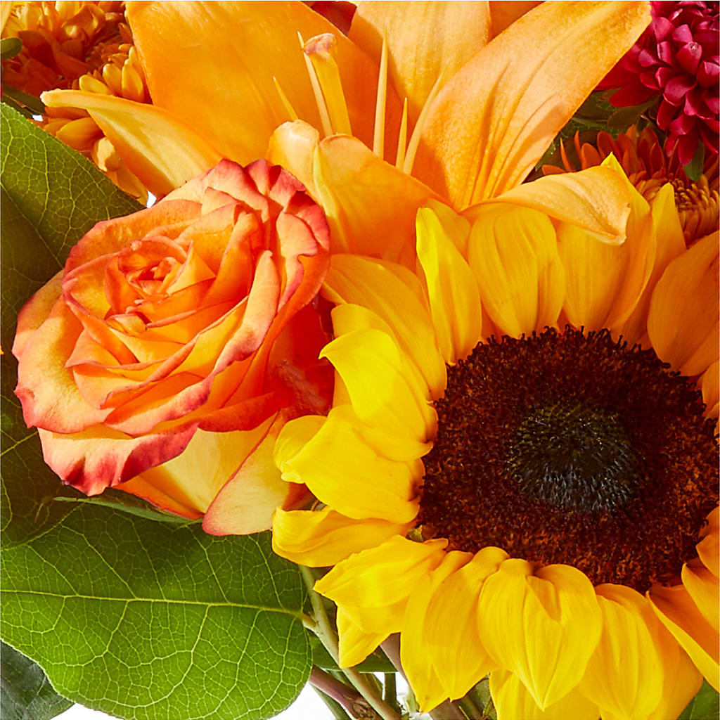 Fall Day Bouquet –  Roots Of Love, Spotswood NJ