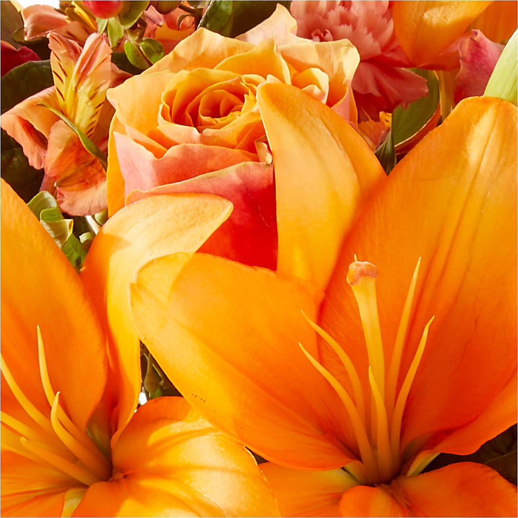 Afternoon Light Bouquet –  Roots Of Love, Spotswood NJ