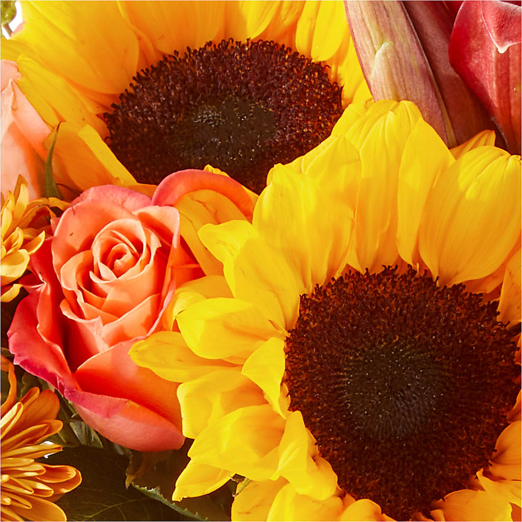 Acorn Lane Bouquet –  Roots Of Love, Spotswood NJ
