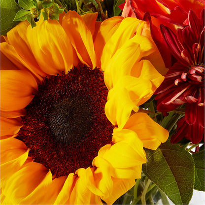 Harvest Festival Bouquet –  Roots Of Love, Spotswood NJ