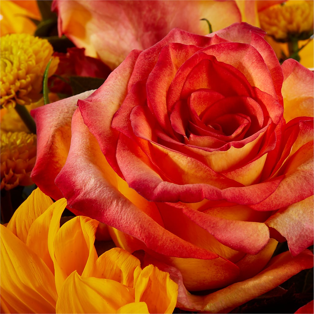 Picnic in the Park Bouquet –  Roots Of Love, Spotswood NJ
