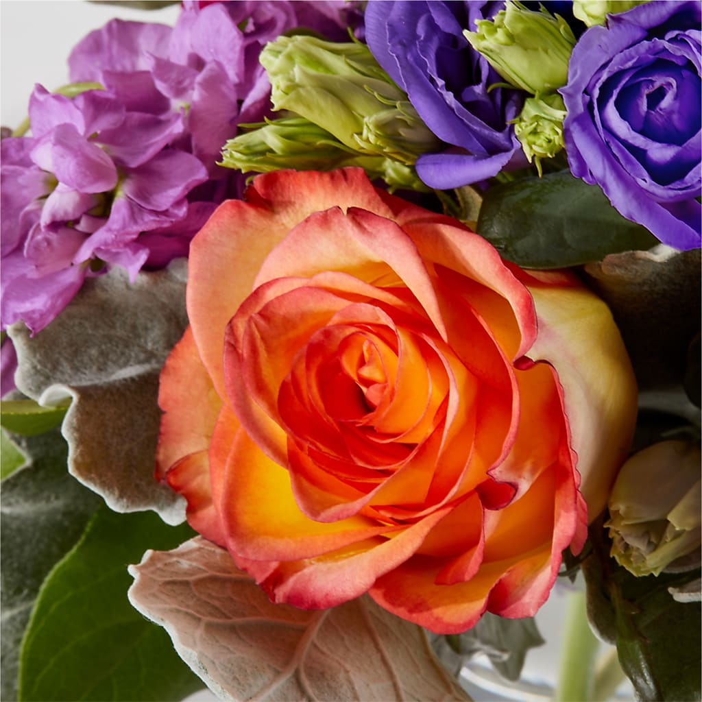 Sangria Bouquet –  Roots Of Love, Spotswood NJ