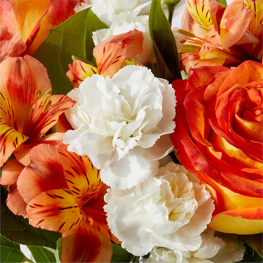 Apricot Glow Bouquet –  Roots Of Love, Spotswood NJ
