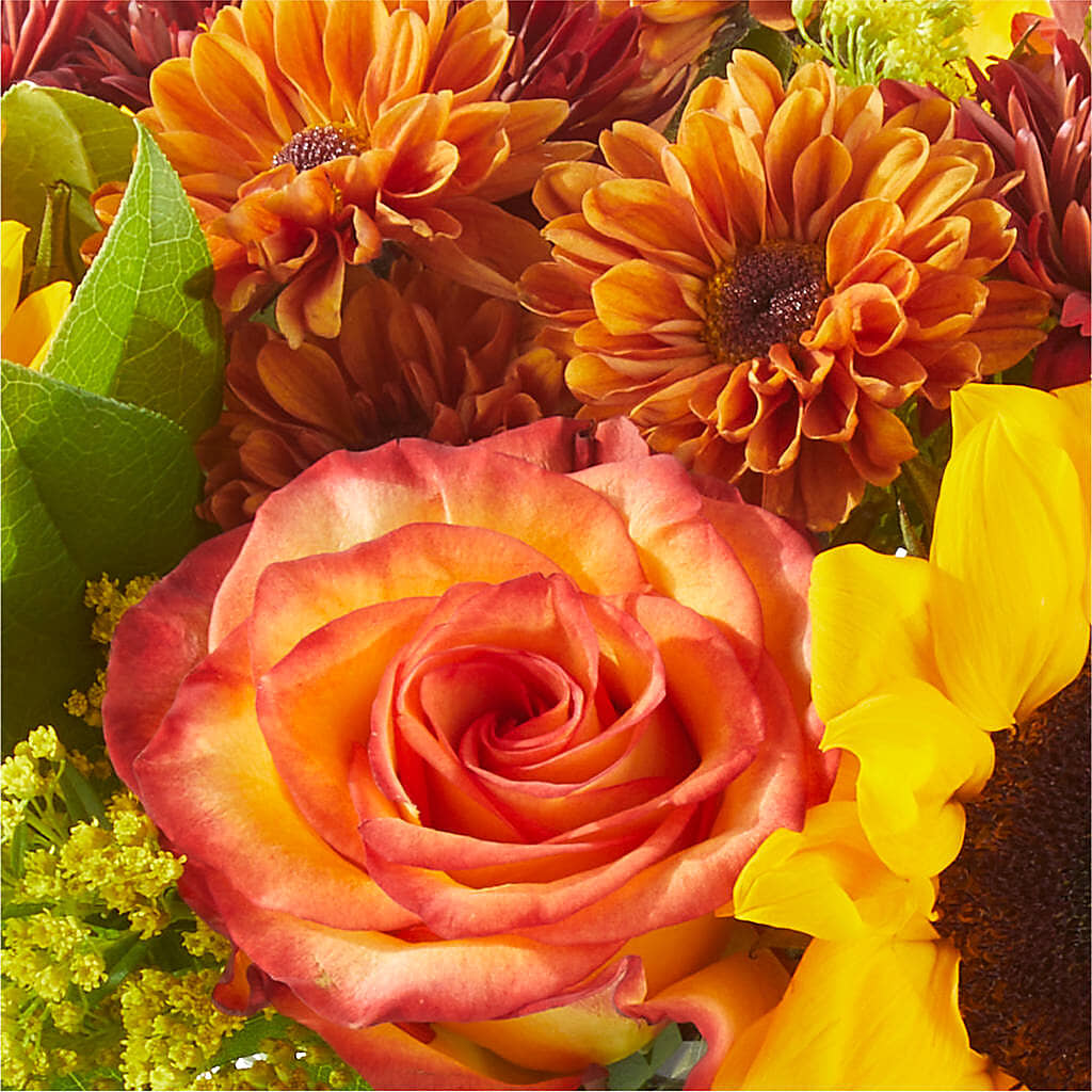 Flannel Scarf Bouquet –  Roots Of Love, Spotswood NJ
