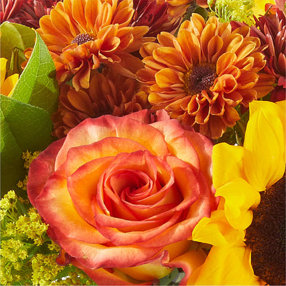 Flannel Scarf Bouquet –  Roots Of Love, Spotswood NJ