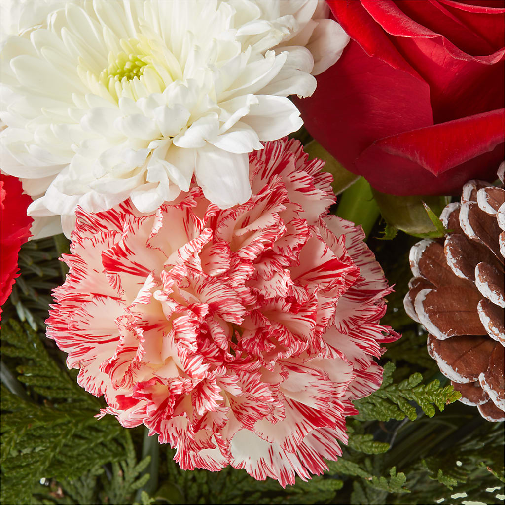 Candy Cane Lane Bouquet –  Roots Of Love, Spotswood NJ