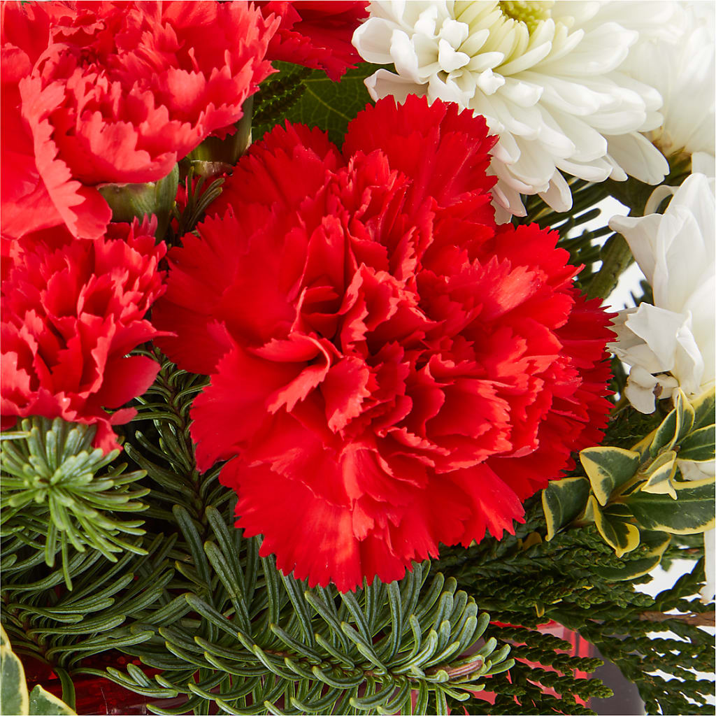 Christmas Market Bouquet –  Roots Of Love, Spotswood NJ
