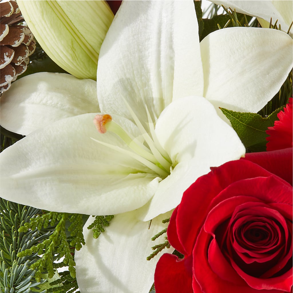 Oh So Jolly Bouquet –  Roots Of Love, Spotswood NJ