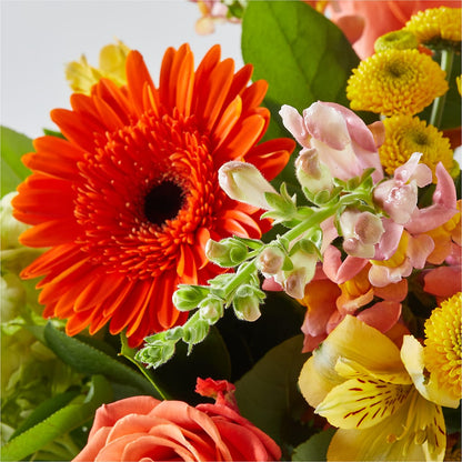 Autumn Sunshine Bouquet –  Roots Of Love, Spotswood NJ