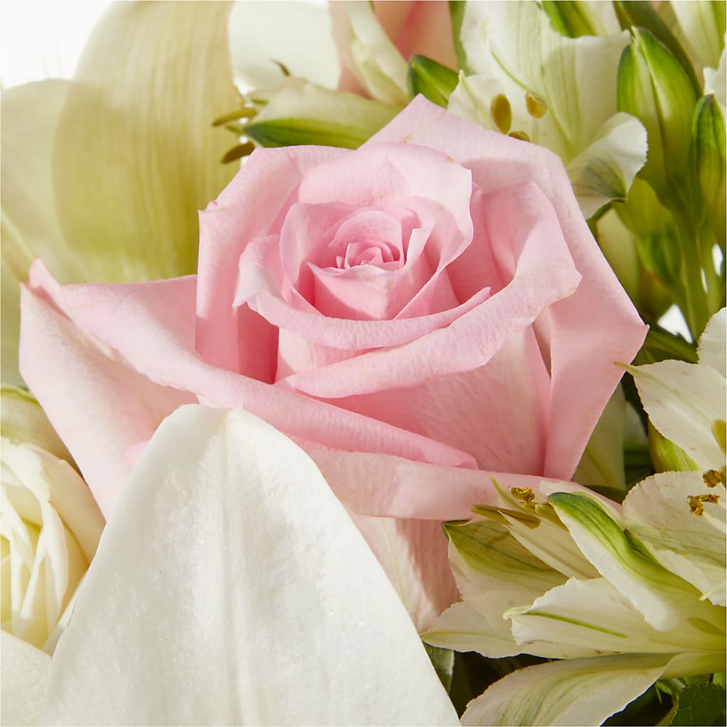 Kindhearted Bouquet –  Roots Of Love, Spotswood NJ