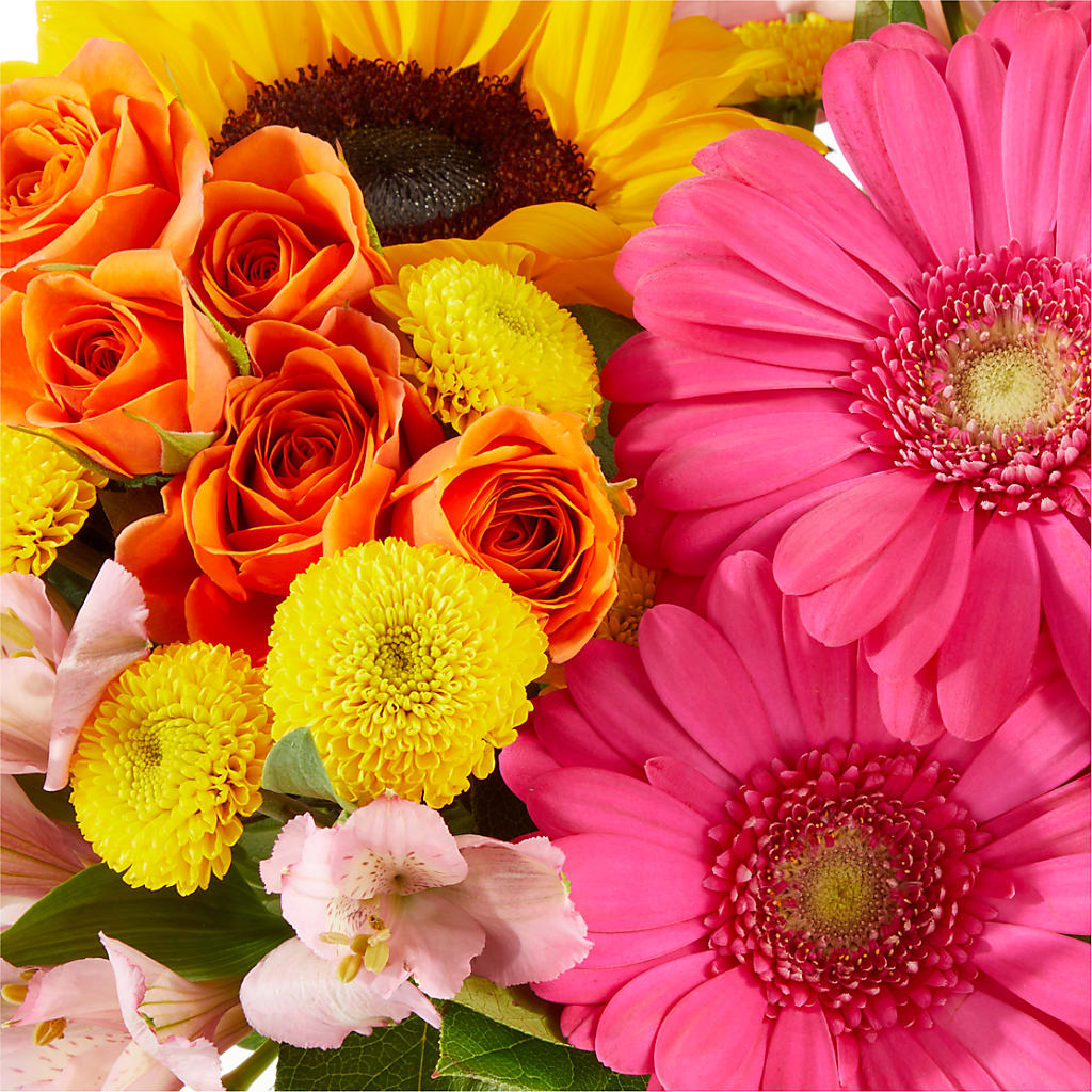 Beach Day Bouquet –  Roots Of Love, Spotswood NJ