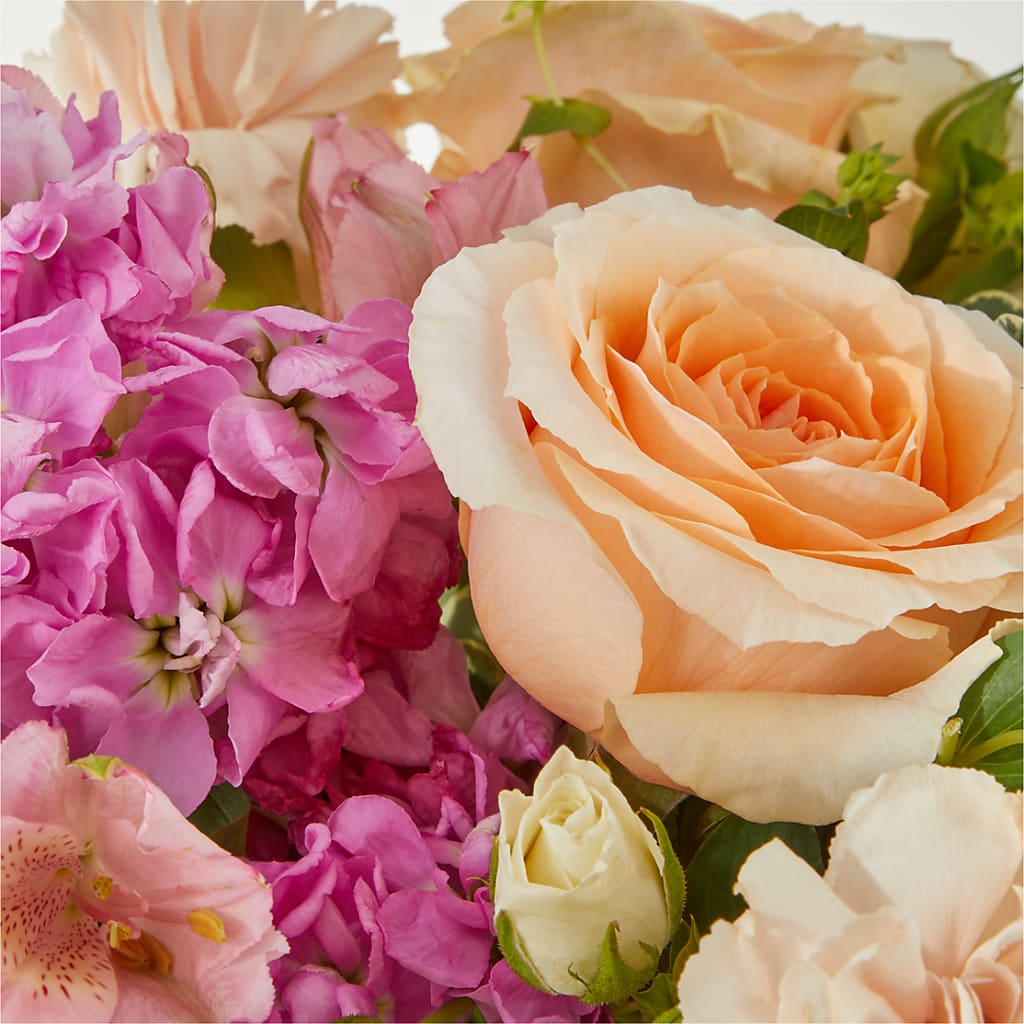 Paradise Bouquet –  Roots Of Love, Spotswood NJ