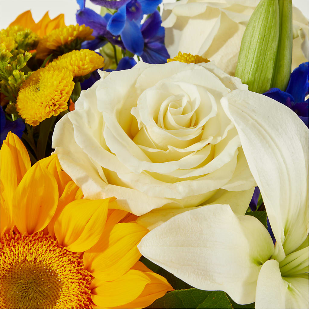 Stargazing Bouquet –  Roots Of Love, Spotswood NJ