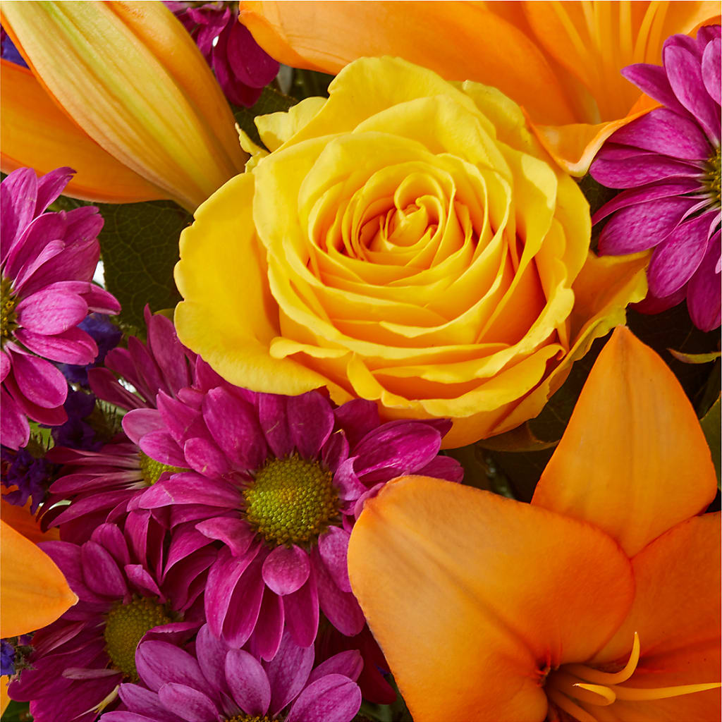 Colorful Visions Bouquet –  Roots Of Love, Spotswood NJ
