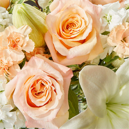 Darling Bouquet –  Roots Of Love, Spotswood NJ