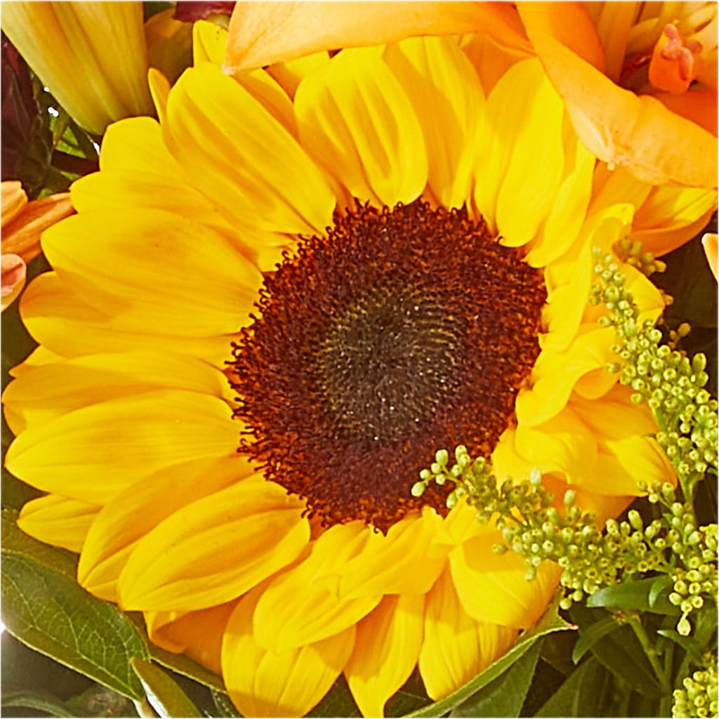 Seasons Change Bouquet –  Roots Of Love, Spotswood NJ