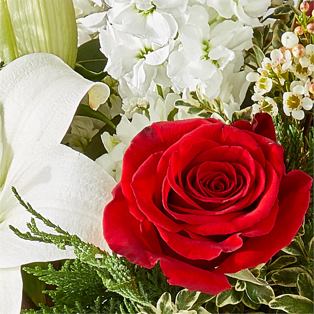Twinkle Lights Bouquet –  Roots Of Love, Spotswood NJ
