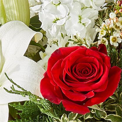 Twinkle Lights Bouquet –  Roots Of Love, Spotswood NJ