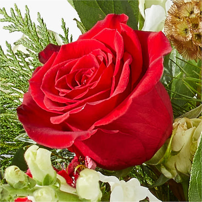 Deck the Halls Bouquet –  Roots Of Love, Spotswood NJ