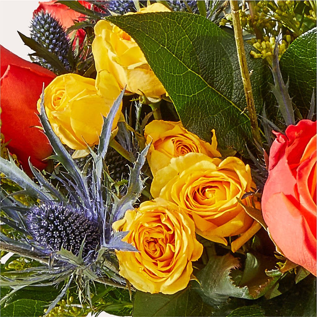 Disco Bouquet –  Roots Of Love, Spotswood NJ