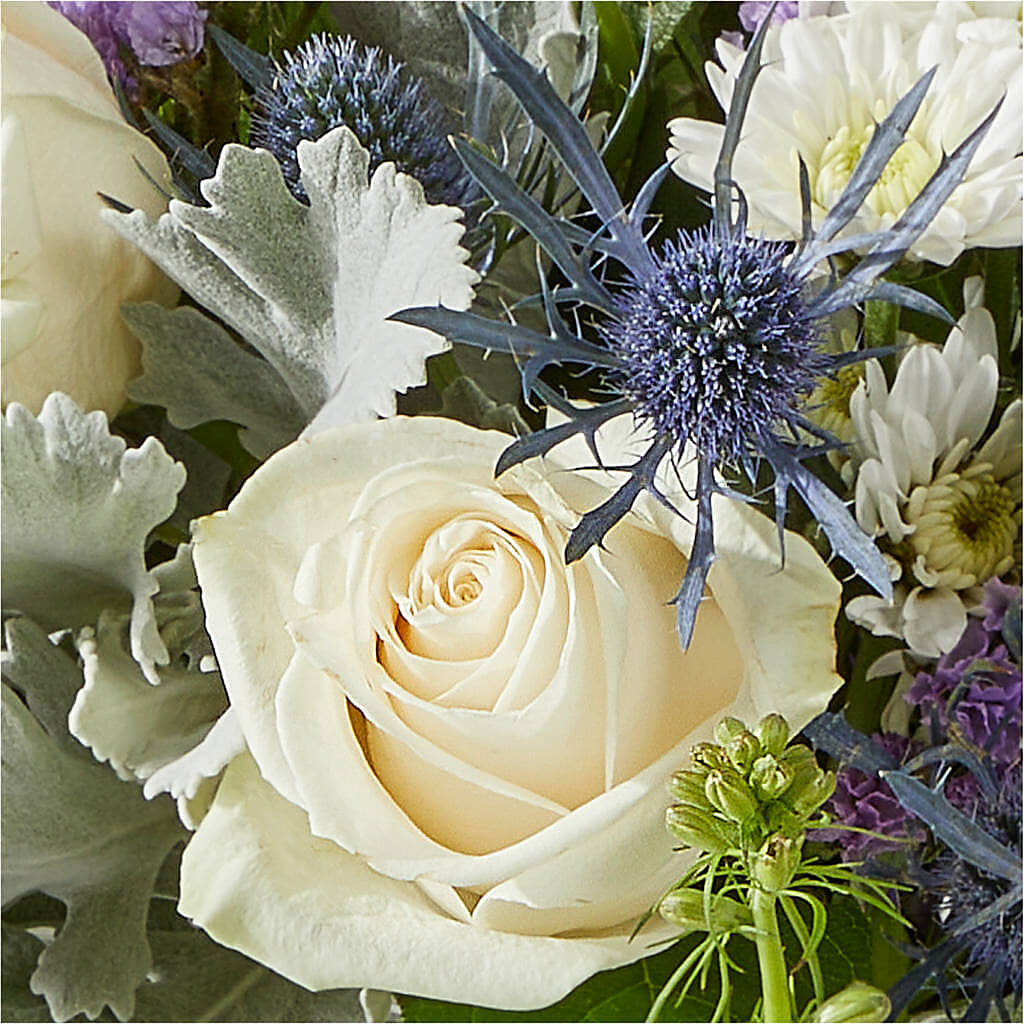 Shooting Star Bouquet –  Roots Of Love, Spotswood NJ
