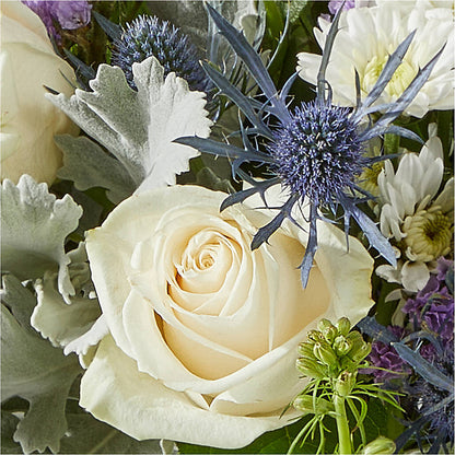 Shooting Star Bouquet –  Roots Of Love, Spotswood NJ