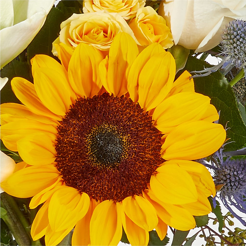 Wonderfully Sunny Bouquet –  Roots Of Love, Spotswood NJ