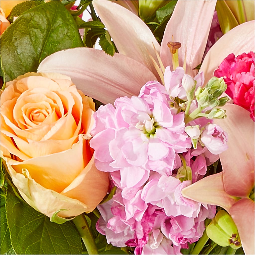 Bisous Bouquet –  Roots Of Love, Spotswood NJ