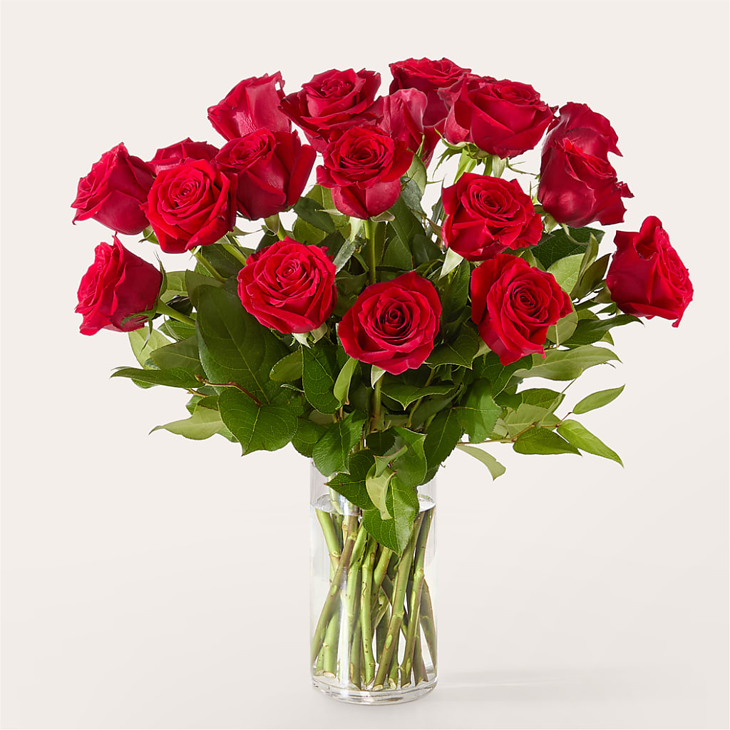 The One Red Rose Bouquet –  Roots Of Love, Spotswood NJ